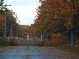 原野商法 別荘地 管理費滞納 遠方管理